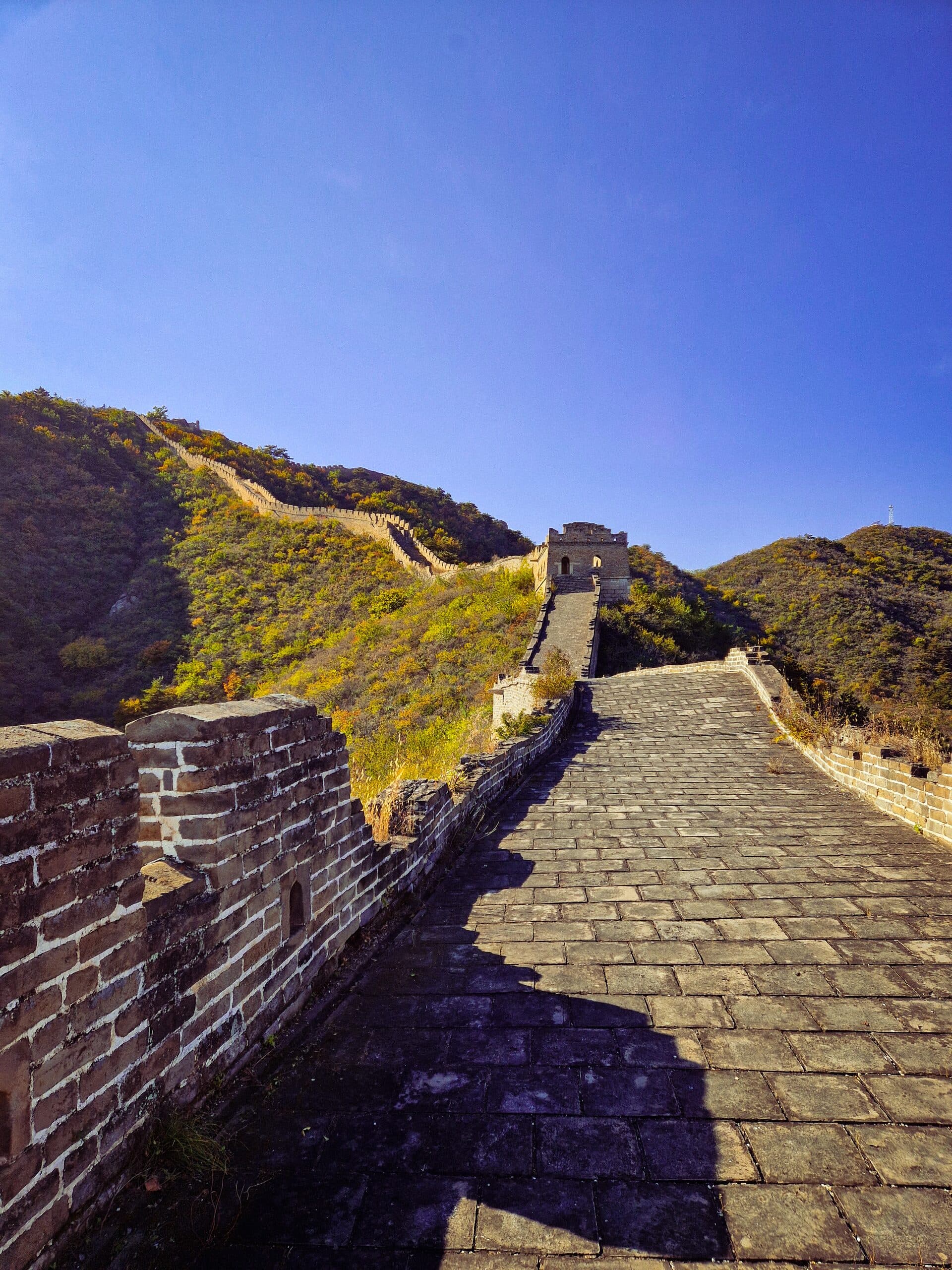 Alone on the wall
